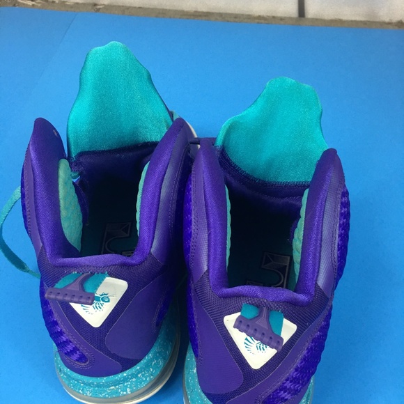 9.5 Nike Lebron  469764-500 Summit Lake Hornets